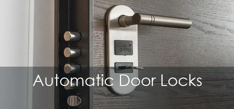 Automatic Door Locks 