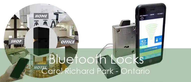 Bluetooth Locks Carol Richard Park - Ontario