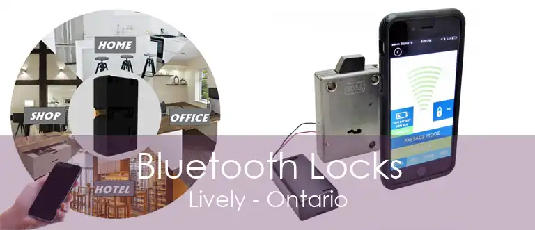 Bluetooth Locks Lively - Ontario