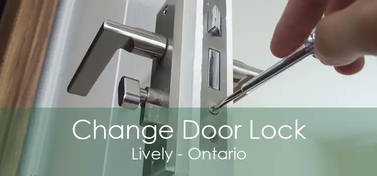 Change Door Lock Lively - Ontario