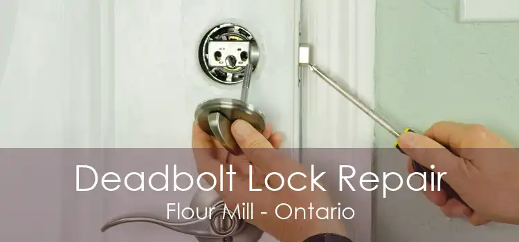 Deadbolt Lock Repair Flour Mill - Ontario