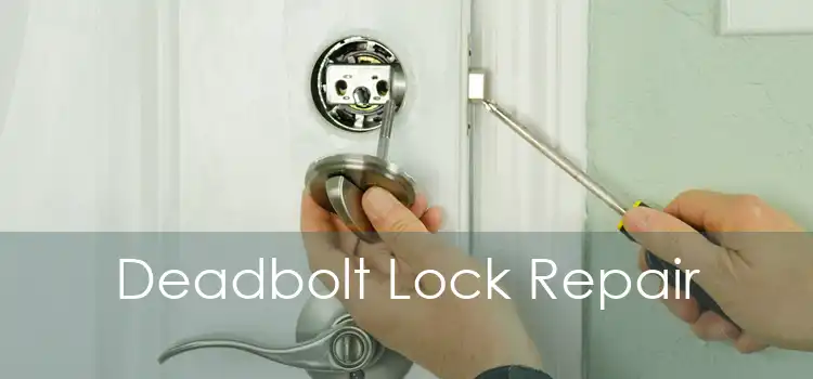 Deadbolt Lock Repair 