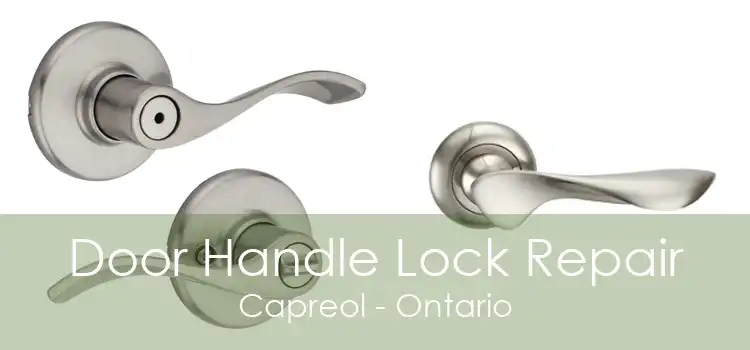 Door Handle Lock Repair Capreol - Ontario