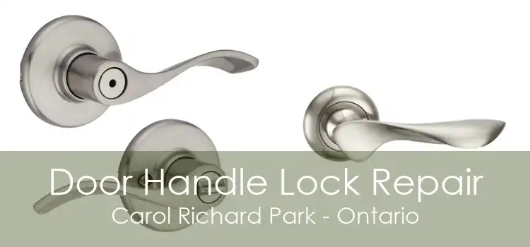 Door Handle Lock Repair Carol Richard Park - Ontario
