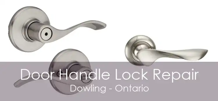 Door Handle Lock Repair Dowling - Ontario