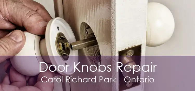 Door Knobs Repair Carol Richard Park - Ontario