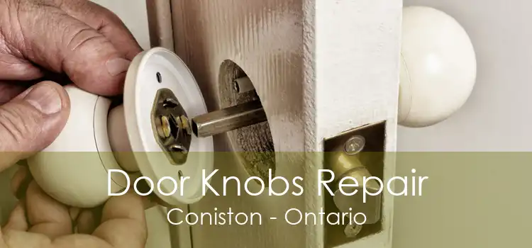 Door Knobs Repair Coniston - Ontario