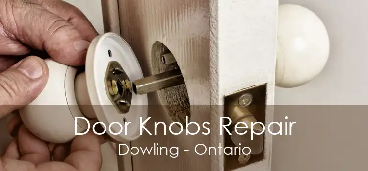 Door Knobs Repair Dowling - Ontario