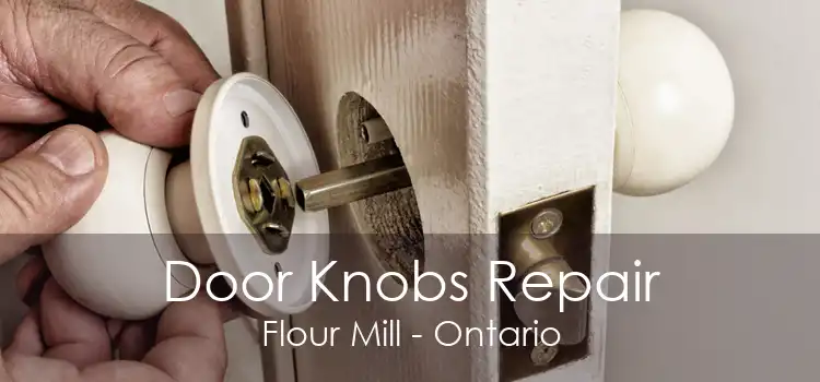 Door Knobs Repair Flour Mill - Ontario