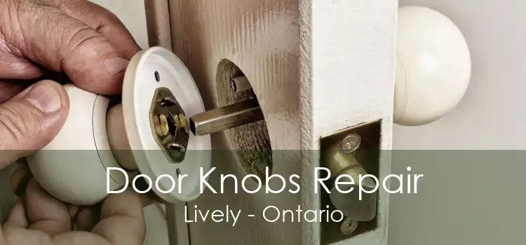 Door Knobs Repair Lively - Ontario