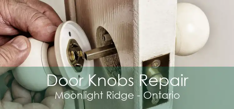 Door Knobs Repair Moonlight Ridge - Ontario