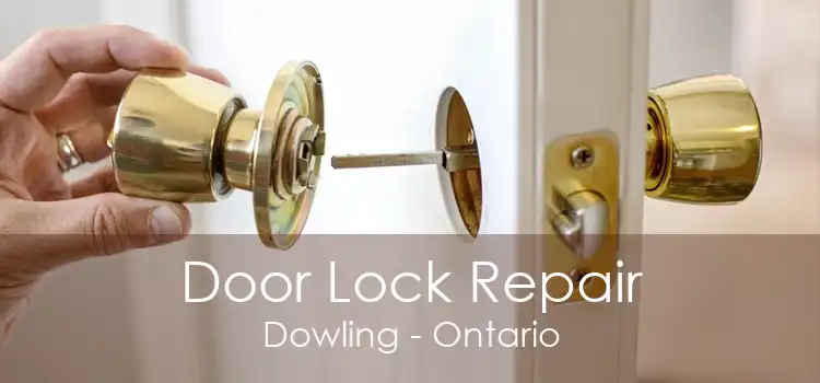 Door Lock Repair Dowling - Ontario