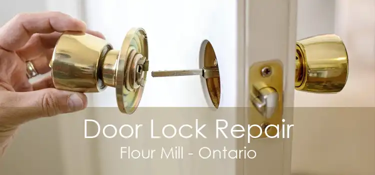 Door Lock Repair Flour Mill - Ontario