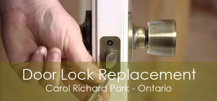 Door Lock Replacement Carol Richard Park - Ontario