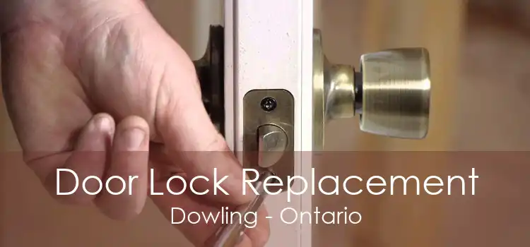 Door Lock Replacement Dowling - Ontario