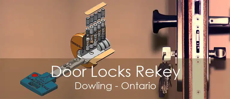 Door Locks Rekey Dowling - Ontario