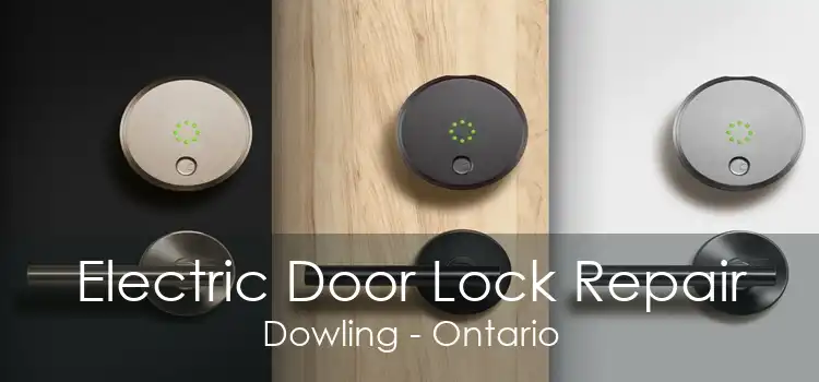 Electric Door Lock Repair Dowling - Ontario