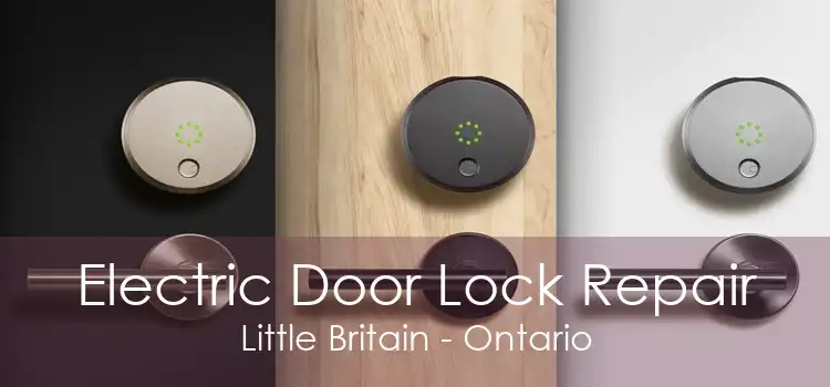 Electric Door Lock Repair Little Britain - Ontario