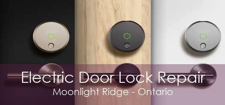 Electric Door Lock Repair Moonlight Ridge - Ontario