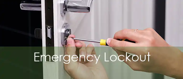 Emergency Lockout 