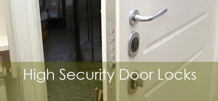 High Security Door Locks 