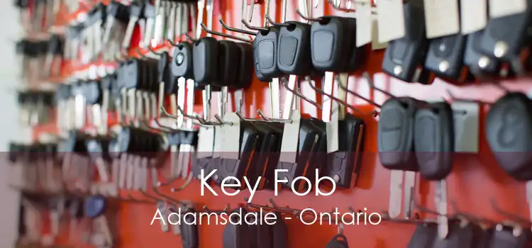 Key Fob Adamsdale - Ontario