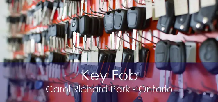 Key Fob Carol Richard Park - Ontario