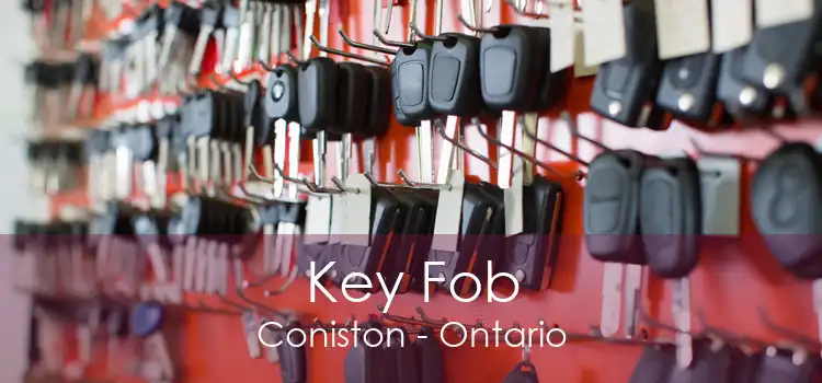 Key Fob Coniston - Ontario