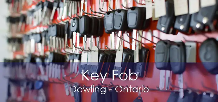 Key Fob Dowling - Ontario