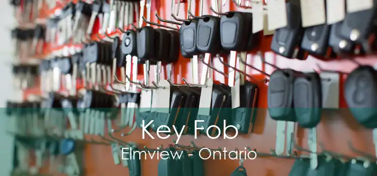 Key Fob Elmview - Ontario