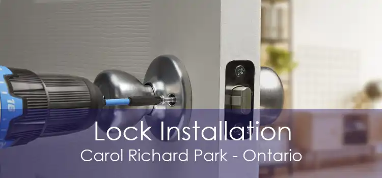 Lock Installation Carol Richard Park - Ontario