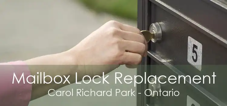 Mailbox Lock Replacement Carol Richard Park - Ontario