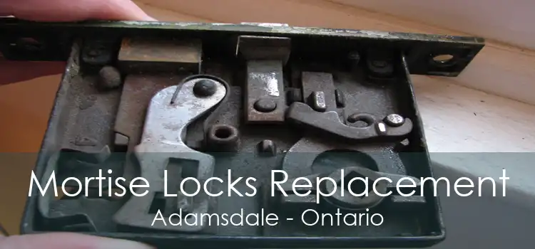 Mortise Locks Replacement Adamsdale - Ontario