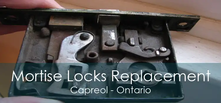 Mortise Locks Replacement Capreol - Ontario