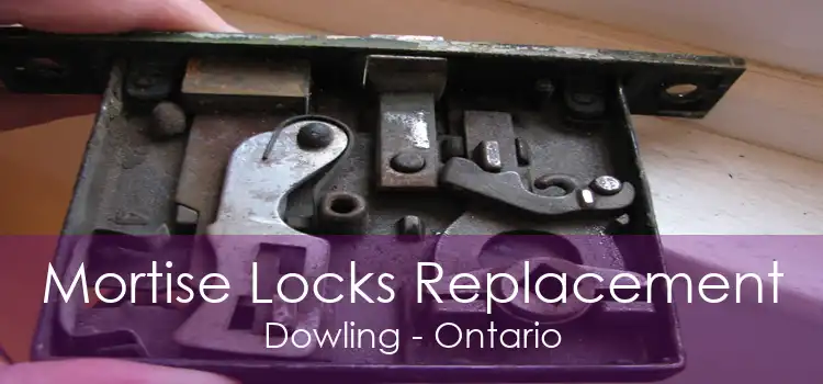 Mortise Locks Replacement Dowling - Ontario