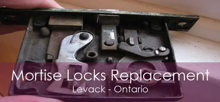 Mortise Locks Replacement Levack - Ontario