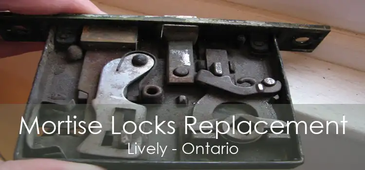 Mortise Locks Replacement Lively - Ontario