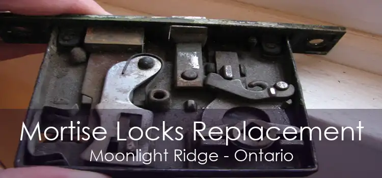 Mortise Locks Replacement Moonlight Ridge - Ontario