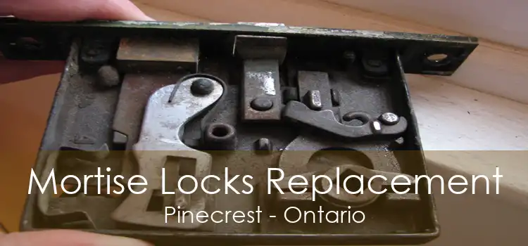 Mortise Locks Replacement Pinecrest - Ontario