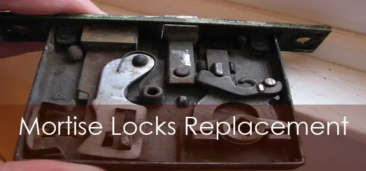 Mortise Locks Replacement 