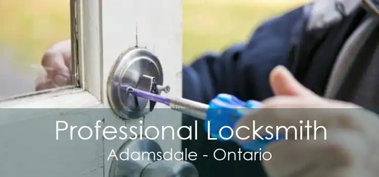Professional Locksmith Adamsdale - Ontario