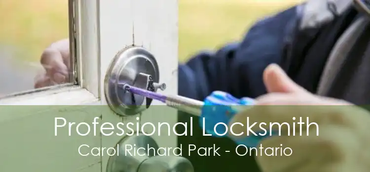 Professional Locksmith Carol Richard Park - Ontario
