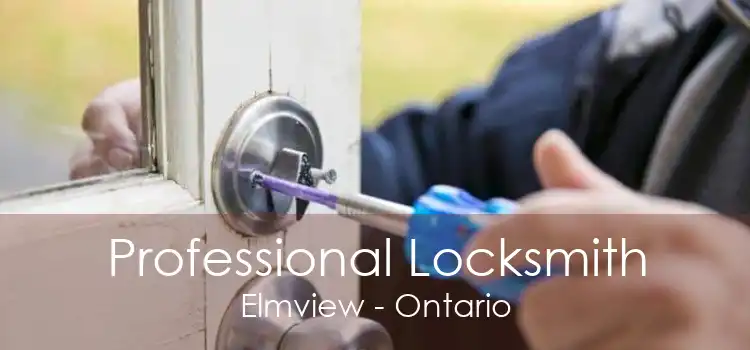Professional Locksmith Elmview - Ontario