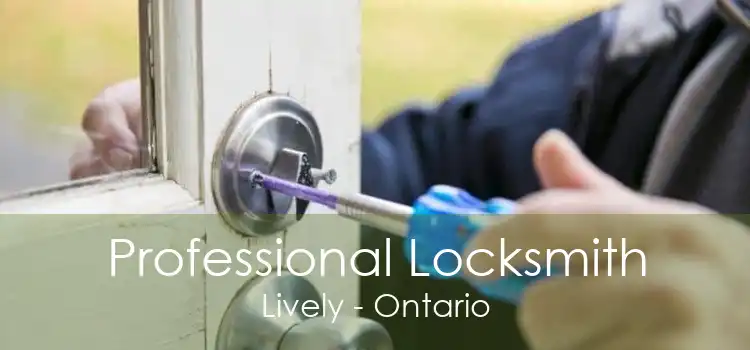 Professional Locksmith Lively - Ontario