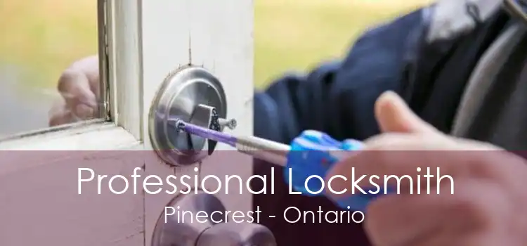 Professional Locksmith Pinecrest - Ontario