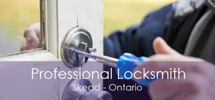Professional Locksmith Skead - Ontario