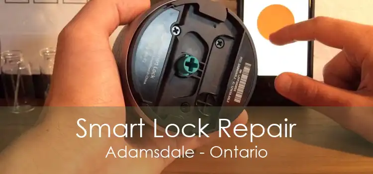 Smart Lock Repair Adamsdale - Ontario