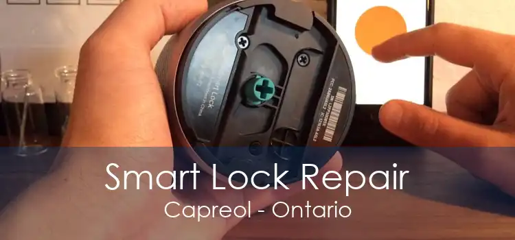Smart Lock Repair Capreol - Ontario