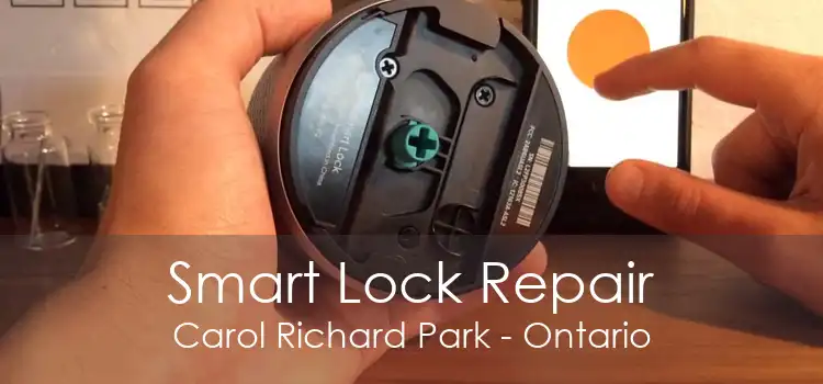 Smart Lock Repair Carol Richard Park - Ontario
