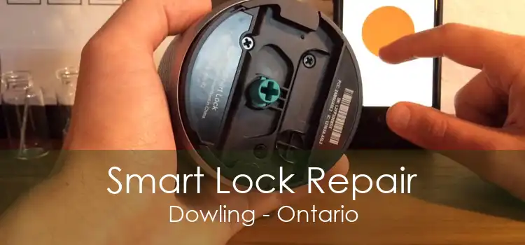 Smart Lock Repair Dowling - Ontario